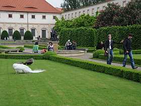  Pražské pamětihodnosti - Palácové zahrady v Praze