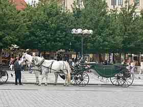 Prohlídka Prahy - Staroměstské náměstí